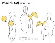 a drawing tutorial illustrating the shoulder muscles of the human body. three simplified figures represent the front, side, and back views.  the shoulder muscles are highlighted in yellow for emphasis. the text is in korean, providing instructions and tips on how to draw the muscles accurately.