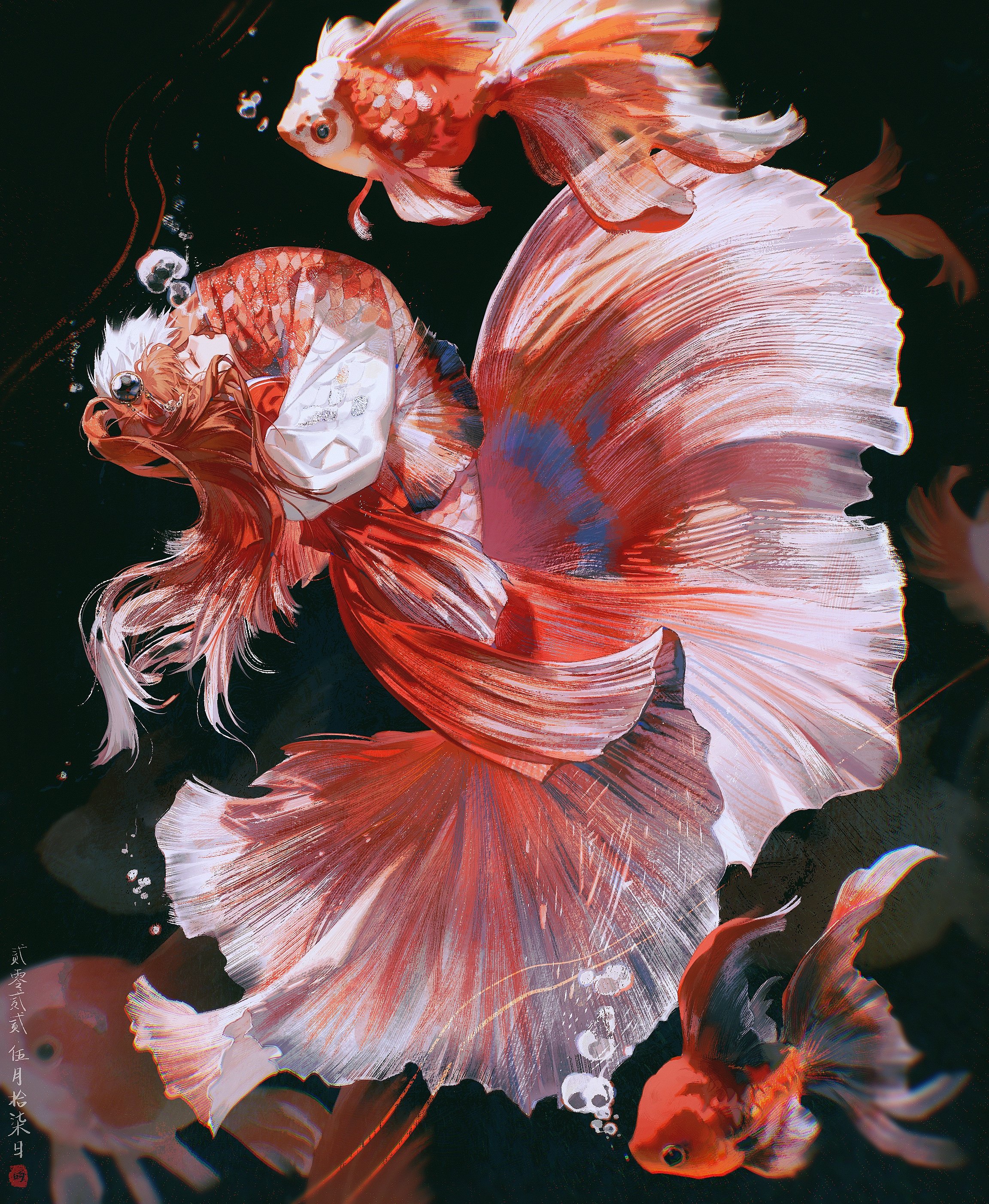 this surreal digital painting depicts a group of goldfish in an underwater scene. the main focus is on a large, elaborate goldfish with red and white scales that resemble flowing fabric. its fins are especially prominent and graceful, giving the impression of a dress or gown. smaller, more traditional goldfish are surrounding it, one of which is partially obscured by the main goldfish. the background is a deep black, allowing the bright colors of the fish to stand out. bubbles are scattered around the image, adding a sense of movement and magic to the scene. the overall impression is one of beauty, elegance, and a touch of whimsy.