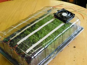 a closeup of a small indoor hydroponic garden.  the plants are growing in a clear plastic container with a fan to help circulate the air and water. there are several strips of tape holding the plants in place.  the plants are green and appear to be healthy.  there is a wooden surface in the background.