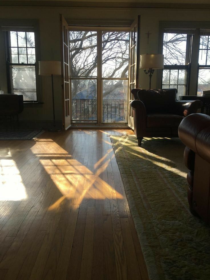 the image shows a sunlit living room with hardwood floors. sunlight streams through french doors and windows, casting diagonal shadows across the polished wooden floor.  the french doors open onto a balcony overlooking a view of leafless trees in winter. two leather armchairs sit partially in the sunlight.  a rug is partially visible on the floor. the overall aesthetic is warm, inviting, and slightly vintage.