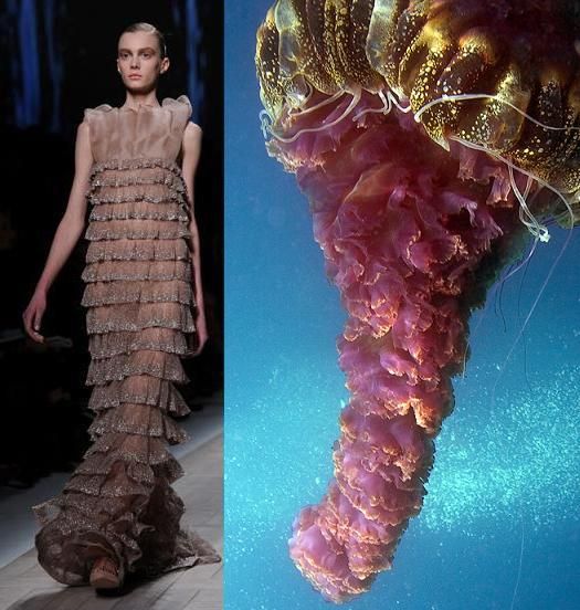 the image shows a fashion model walking down a runway in a frilled, tiered gown with a pink jellyfish in the background. the model's gown is reminiscent of the jellyfish's bell and tentacles, creating a surreal and visually striking juxtaposition. the image captures the beauty of both nature and fashion, highlighting the intricate detail and elegance of both.