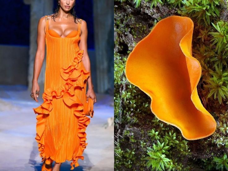 on the left side, there is a woman wearing a bright orange dress walking the runway. the dress has ruffles at the bottom and a deep vneck. on the right side, there is a bright orange mushroom in the forest. the mushroom is growing out of the ground and is surrounded by green moss.