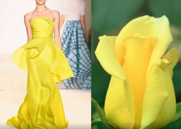 this image is a split screen showing a fashion model on the runway wearing a yellow dress and a yellow rose. the model is wearing a strapless yellow gown with a flowing skirt. the rose is a bud with yellow petals that are tightly closed. the image is a beautiful example of fashion and nature coming together.