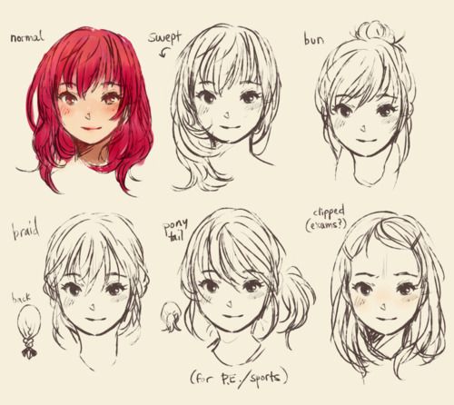 the image is a sketch showing different hairstyles on the same female animestyle face. each hairstyle is labeled with its name, including "normal", "swept", "bun", "braid", "pony tail", and "clipped (exams?)". the "pony tail" is further labeled "(for pe/sports)". the hairstyles are drawn with varying levels of detail, ranging from a simple outline to more elaborate shading. the image appears to be a tutorial or reference for drawing different hairstyles.