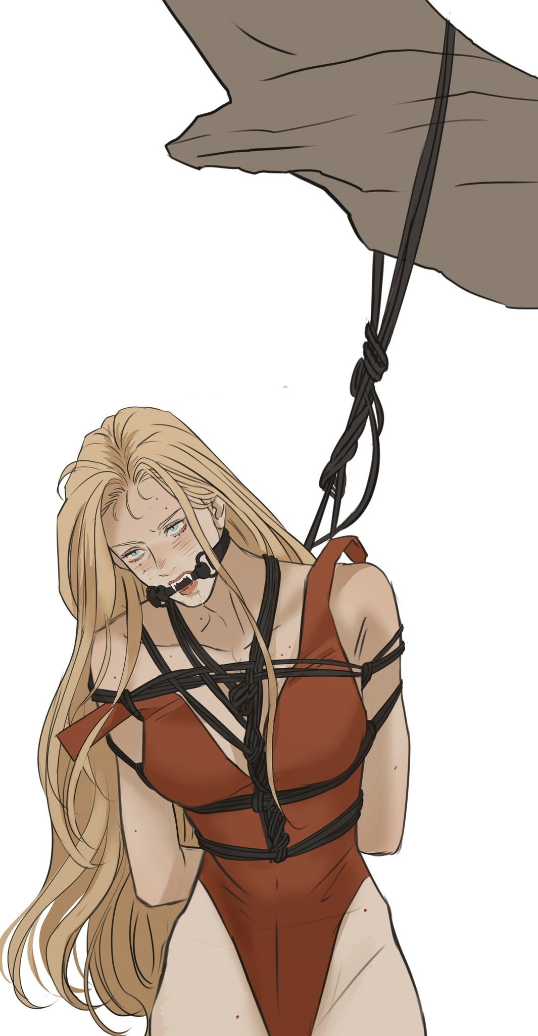 a drawing of a woman with long blonde hair wearing a red swimsuit, gagged and tied with rope, and suspended from a branch.