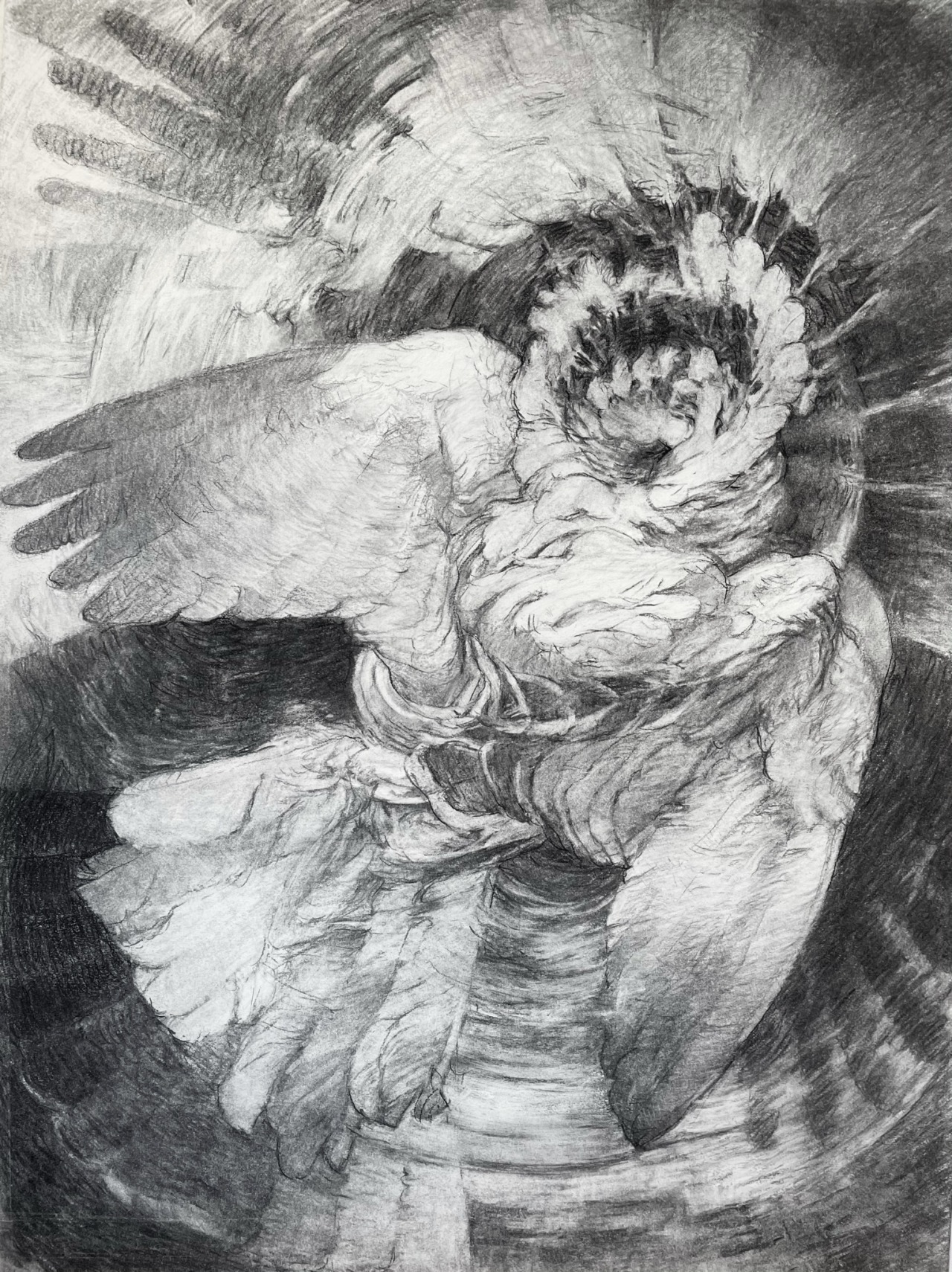 this is a black and white sketch or drawing of two birds, possibly eagles, locked in a struggle midflight. the perspective is close up, giving the impression of a dynamic and powerful struggle. the use of light and shadow emphasizes the movement and tension of the scene. the artwork is rendered in shades of grey and black, creating a dramatic and captivating image.