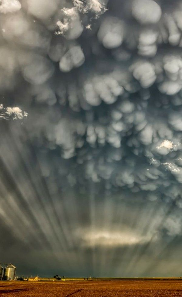 a dramatic image of a dark sky filled with mammatus clouds, a type of cloud formation that appears as rounded pouches hanging from the underside of a cloud. the clouds are lit by sunbeams, creating a beautiful and aweinspiring sight. there is a field in the foreground and a few trees in the distance.
