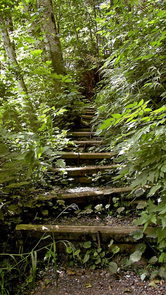 the image shows a set of wooden stairs winding their way up a wooded hillside. the stairs are old and worn, and the wood is starting to rot in places. the steps are surrounded by lush green vegetation, and the sun is shining through the trees, creating a dappled lighting effect.