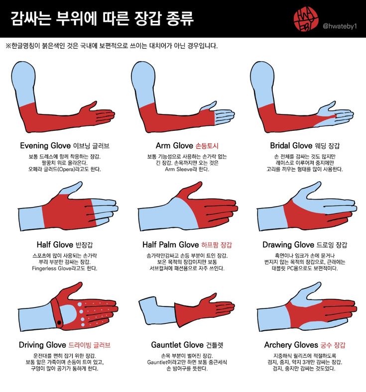 the image is an infographic displaying different types of gloves, specifically illustrating the area of the hand and arm that each glove covers. the types include evening gloves, arm gloves, bridal gloves, half gloves, half palm gloves, drawing gloves, driving gloves, gauntlet gloves, and archery gloves. each glove type is labeled in korean and english, with a brief description of its purpose and common characteristics. the image also notes that korean names marked in red are not commonly used in korea.