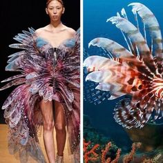 the image is a split image with a fashion model on the left and a lionfish on the right.  the model is wearing a blue dress, and the dress resembles a lionfish. the lionfish is underwater, surrounded by corals and seaweed.  the image is a creative and interesting way to show the connection between fashion and nature.