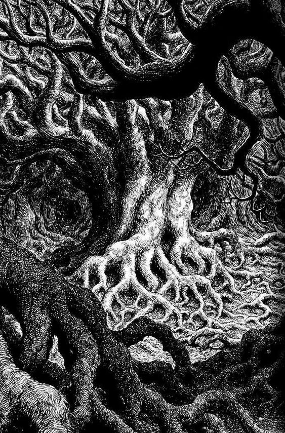 the image is a detailed black and white illustration or drawing, possibly an etching or woodcut, depicting a massive, ancient tree with incredibly intricate and gnarled roots and branches. the style is dark and gothic, suggesting a mystical or even spooky atmosphere. the roots spread widely, creating a complex network that dominates the image. the texture is highly detailed, with individual lines and shading creating a sense of depth and complexity. the overall composition creates a feeling of being enveloped or surrounded by the tree, evoking a sense of awe and perhaps even unease.  the contrast between light and dark enhances the dramatic effect.