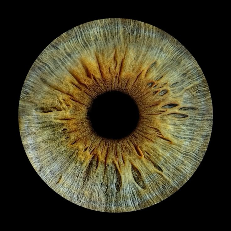 a closeup macro shot of a human eye's iris, showcasing its intricate details and textures. the iris is a mix of brown and hazel colors, surrounding the black pupil. the image is set against a black background, emphasizing the eye's features.