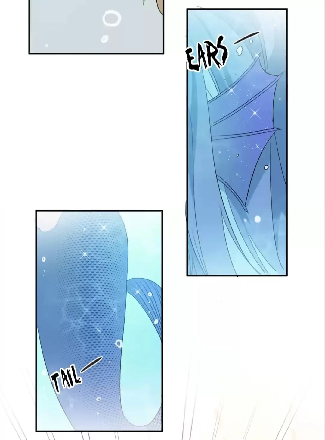 the image is a mangastyle illustration showcasing different parts of a mermaid.  there are three panels. one panel shows the top portion of the mermaid, highlighting her finlike ears labeled "ears". another panel shows the mermaid's detailed, scaled tail labeled "tail",  and a small portion of her body is visible in the topleft panel.  the overall color scheme is light blue and turquoise, creating an ethereal and underwater ambiance. the art style is soft and dreamy.