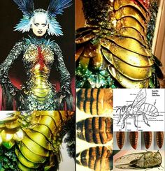 this image combines insectinspired fashion with actual insect imagery. the top left portion shows a fashion model wearing a  green and gold, buginspired outfit.  the top right portion shows a closeup of the insectlike armor of a garment. the bottom portion of the image features actual insects, such as a bee and a cicada, as well as their wings.  the image is a combination of fashion art and natural insect imagery, highlighting the beauty and complexity of both.