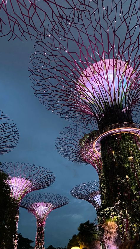 the image showcases the supertree grove at gardens by the bay in singapore at night.  multiple towering, bioinspired metal structures, lit with a combination of purple and pink lights, dominate the scene against a twilight sky.  the structures are intricately designed, resembling large, artificial trees with branching patterns. lush greenery is visible at the base of the supertrees, and other smaller trees and plants are present in the foreground. the overall atmosphere is both futuristic and natural, showcasing the unique blend of architecture and nature found in this singapore landmark. the vertical perspective emphasizes the height and grandeur of the supertrees.