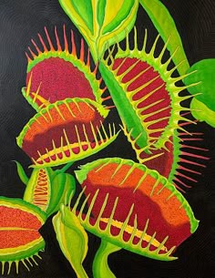 a closeup painting of a venus flytrap with bright green, yellow, and red colors against a black background. the plant has several open traps with red and yellow insides. the painting is a closeup shot of the venus flytrap with details of the plant’s intricate structure.