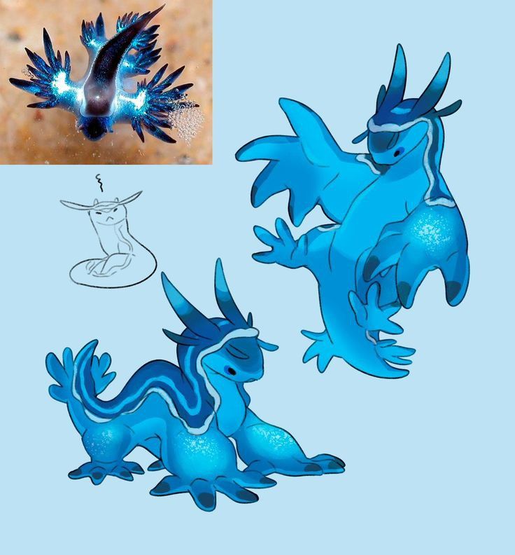 the image shows a comparison of a blue sea dragon (glaucus atlanticus) with stylized illustrations of the creature. there is a photograph of the actual sea slug in the upper left corner. below the photograph is a quick sketch of the creature. to the right are two more detailed, cartoonish illustrations of the blue sea dragon in different poses, rendered in shades of blue.