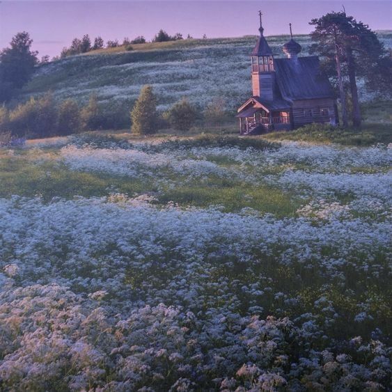 the image showcases a quaint, wooden church nestled on a hilltop, surrounded by a vast field blanketed in white wildflowers.  the scene is bathed in the warm, soft glow of the setting sun, casting long shadows across the landscape.  tall trees flank the church, adding to the serene and picturesque atmosphere.