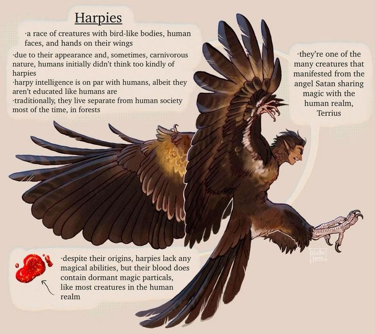 this is an illustration of a harpy. harpies are mythical creatures that are described as having the head and torso of a woman and the body of a bird.  the harpy in this illustration is flying, and there is text about the creatures' origins and abilities. the image is made in a cartoon style and is colorful.