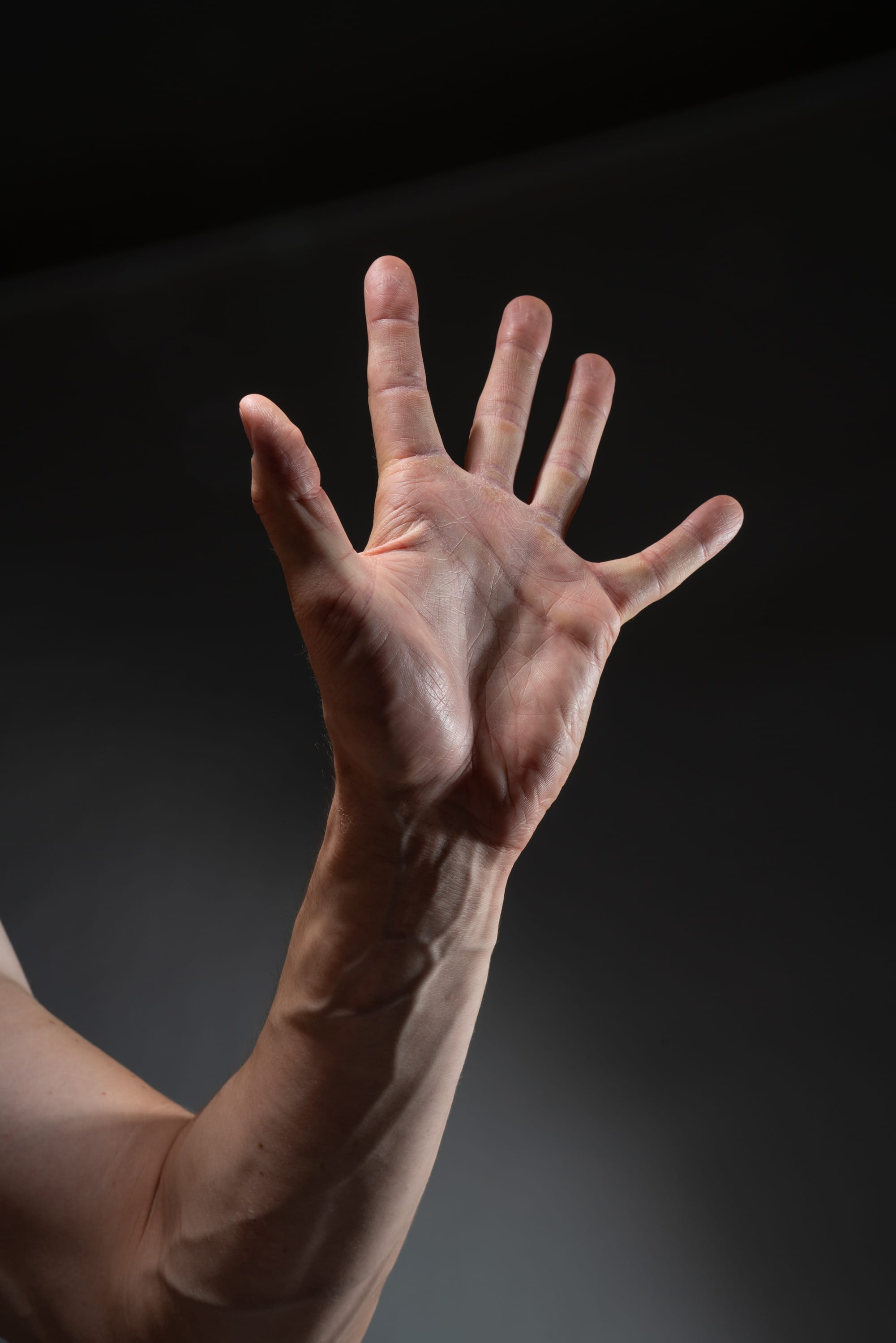 a closeup image of a man's hand and arm extended upwards, illuminated by studio lighting against a dark background. the image highlights the details of the skin, veins, and fingers.