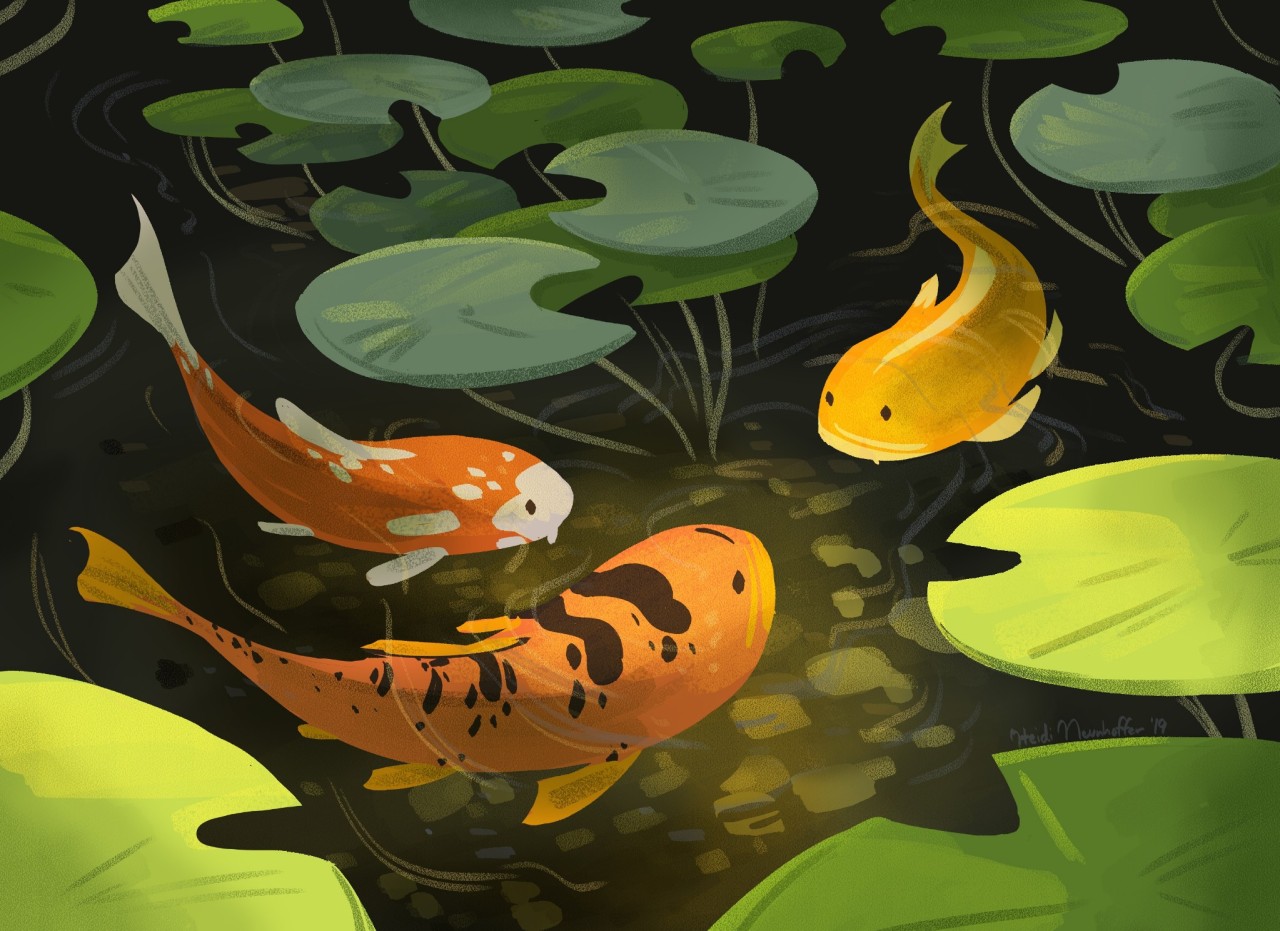 three colorful koi fish swim in a pond. the pond is dark and murky, with sunlight filtering through the water to create dappled lighting. there are several lily pads floating on the surface of the water. the koi are swimming among the lily pads. the koi are orange, white, and black.