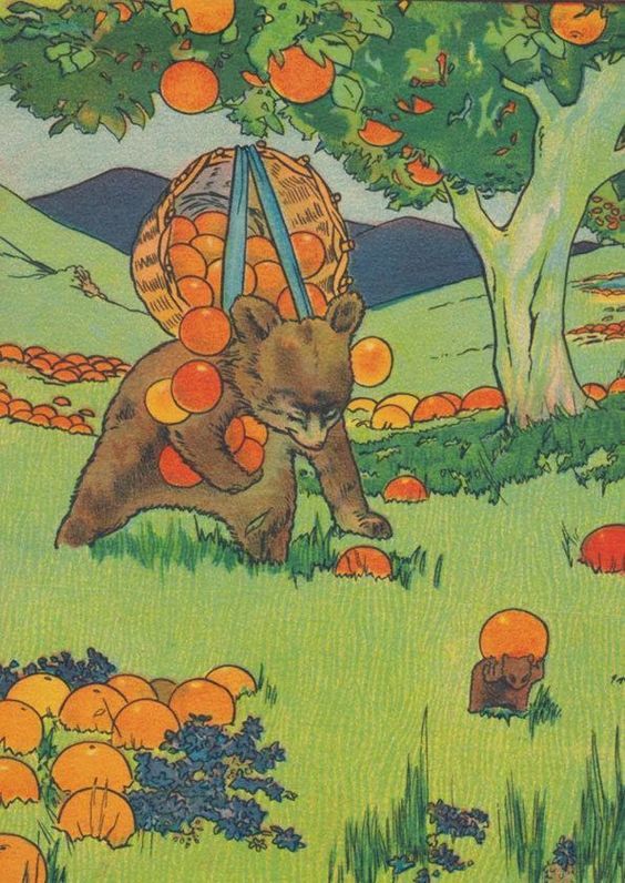 a vintage illustration depicting a bear cub carrying a basket full of oranges on its back. the cub is in a field with many oranges scattered around, both on the ground and on an orange tree nearby. another small bear is visible in the bottom right corner, also carrying an orange. the style is whimsical and childlike, with bright colors and a simple, charming aesthetic. the overall feel evokes a sense of autumnal harvest and rustic countryside charm.