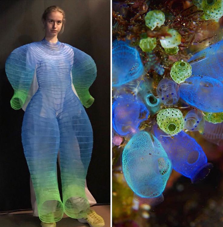 the image shows a woman wearing a blue and green seethrough dress that is made of a netlike material. the dress is designed to resemble the appearance of a sea squirt, a marine organism that is known for its translucent, netlike body. the right side of the image shows a closeup of a group of sea squirts in their natural habitat. the colors and textures of the dress and the sea squirts are remarkably similar, highlighting the inspiration behind the design.