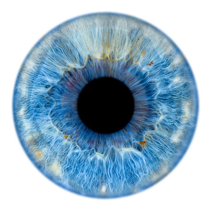 a macro shot of a human eye, focusing on the iris and pupil. the iris is a striking blue color with intricate patterns and textures. the pupil is black and appears as a dark circle in the center of the eye. the image highlights the fine details and anatomical features of the eye.