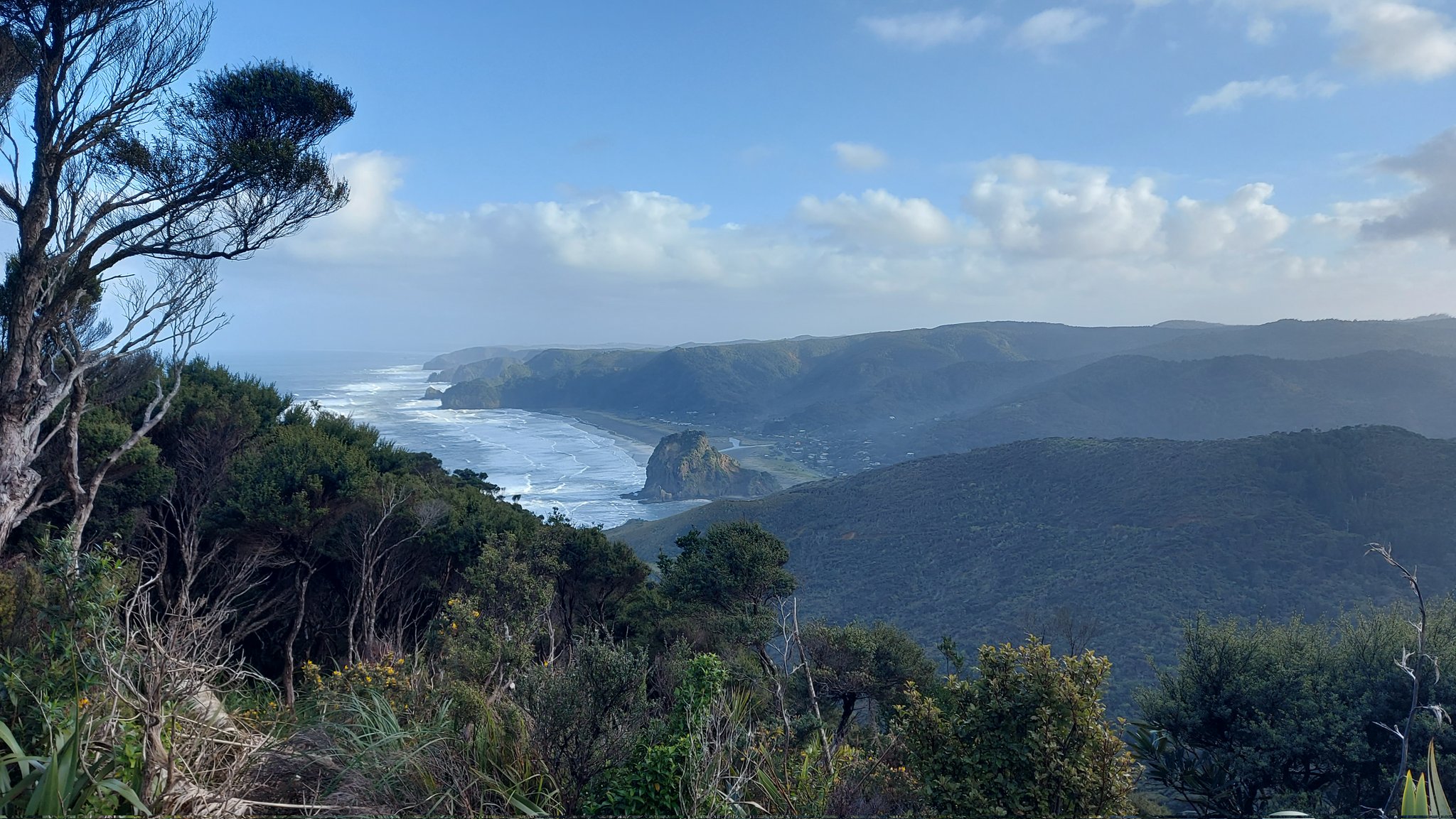 the image shows a panoramic view of piha beach in new zealand, taken from an elevated viewpoint. in the foreground, there is lush green foliage and trees, some with bare branches. the coastline stretches out, with waves crashing onto the dark sand beach. lion rock, a prominent rock formation, stands in the middle of the beach. beyond the beach, there are rolling hills and mountains covered in dense vegetation. the sky is blue with scattered clouds. the overall scene is a picturesque landscape of the new zealand coast.