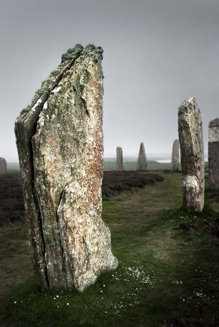 the image shows a stone circle with standing stones in a landscape. the stones are weathered and covered in moss, and the sky is cloudy and overcast. the scene appears to be an ancient monument or historical site. it is the ring of brodgar in orkney, scotland. there is a field of grass in the foreground, with some heather in the background.
