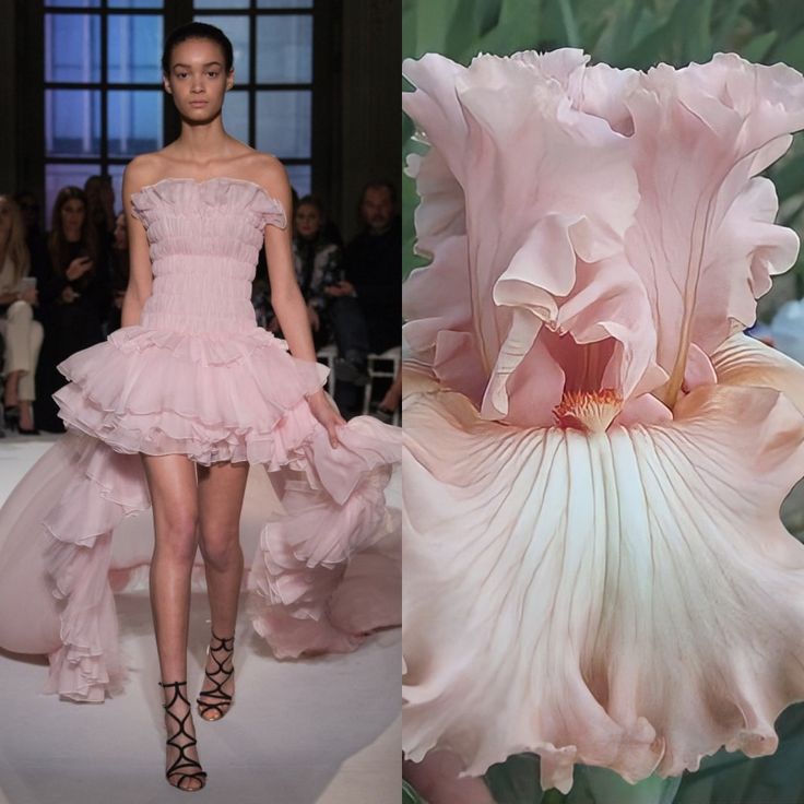 this image shows a split image. on the left side is a model in a pink, highfashion gown, and on the right is a closeup of a pink iris. the model is wearing a strapless dress that is very layered and ruffled, with a long train that is trailing behind her. the dress is made of a very delicate and airy fabric, which gives it a soft and romantic feel. the iris is also very delicate and beautiful, with soft, pink petals that are arranged in a way that looks like a perfect flower. the image is aesthetically pleasing and evokes a sense of femininity and beauty.