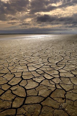 a wide shot of a cracked and dry landscape. the ground is barren and parched, with deep cracks running through the surface. the scene is desolate and harsh, evoking a sense of drought and aridity. the cracked earth stretches out as far as the eye can see, highlighting the severity of the water scarcity. the sky above is overcast and gloomy, adding to the somber atmosphere. the image captures the fragility of the environment and the impact of climate change.