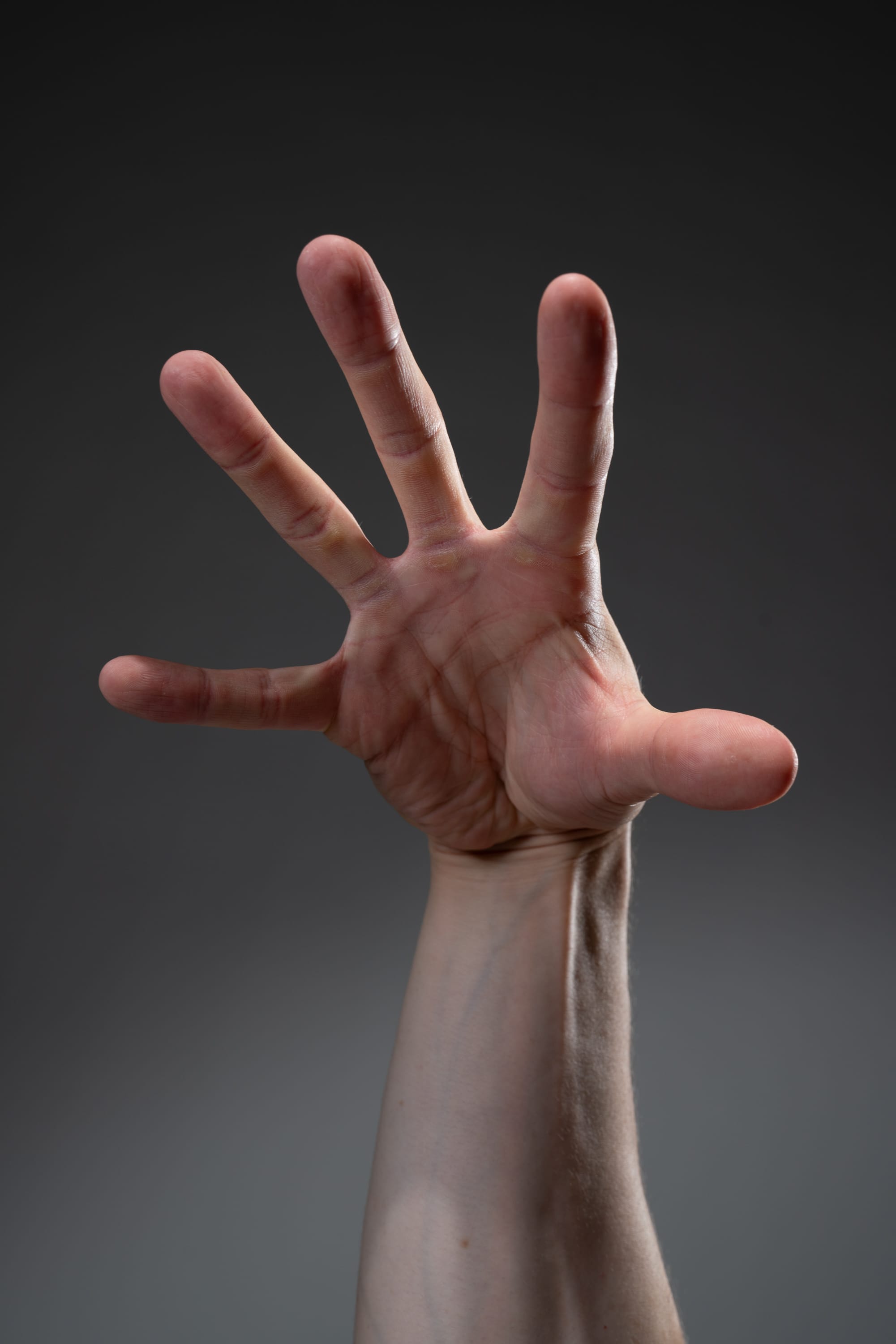 a man's right hand is extended forward against a gray background. the hand is open, with the fingers spread apart. the light source is soft and indoor, creating a subtle shadow behind the hand. the perspective is a closeup, focusing on the details of the hand and its gesture.