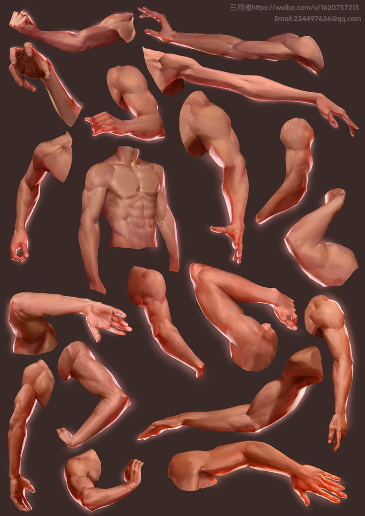 the image shows multiple drawn male arms and hands in different poses. they are isolated on a dark brown background and are drawn in a realistic style with visible musculature. this could be a study of human anatomy or a reference for artists.