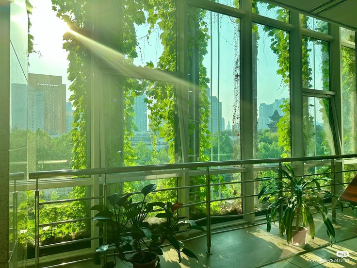 the image showcases a tranquil interior scene, possibly a hallway or corridor in a modern building. large windows dominate the composition, offering a stunning view of a cityscape partially obscured by lush green vines climbing the exterior. sunbeams stream through the glass, illuminating the space and creating a bright, airy atmosphere.  potted plants are positioned within the interior, adding to the feeling of natural serenity. the cityscape in the background is slightly out of focus, emphasizing the contrast between the vibrant green vegetation and the urban structures.  the overall mood is one of calm and natural beauty, blending urban and natural elements.