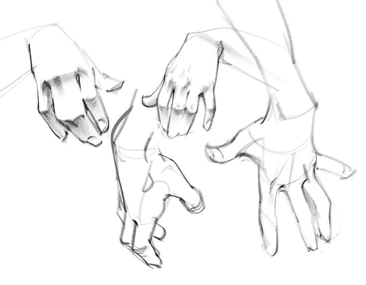 a sketch of three hands in different positions and angles, showcasing their anatomy and gestures. the drawing is done in a loose, expressive line art style.