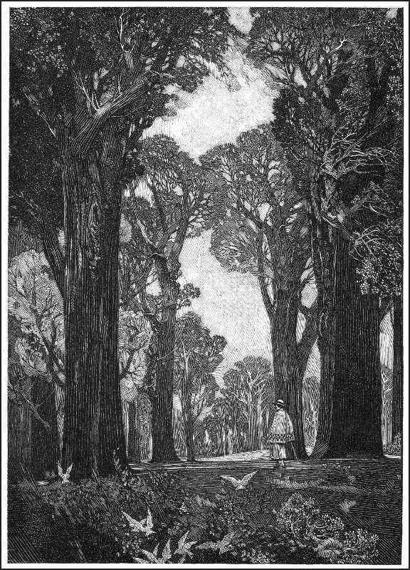 the image is a black and white woodcut or engraving print. it depicts a serene and somewhat mysterious woodland scene. tall, slender trees with dark, textured trunks and full canopies dominate the composition, creating a high, arched frame around a path leading into the distance.  a single, small female figure is visible in the middle ground, appearing quite small relative to the towering trees.  several birds are depicted flying or perched on the ground. the light suggests either dawn or dusk, adding to the atmospheric quality. the overall style is detailed and evocative of older artistic styles, possibly art nouveau or a related movement. the technique clearly shows the characteristic lines of a printmaking process. the scene is peaceful yet contains a subtle sense of solitude and quiet mystery.