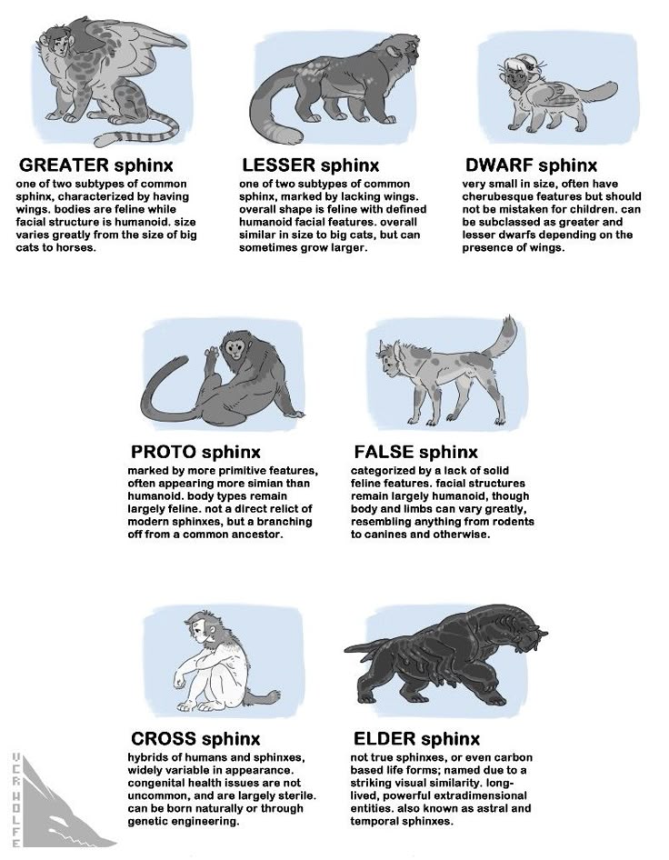 the image presents an illustrated chart showcasing different types of sphinxes. each type is depicted with a corresponding illustration and a descriptive text providing details about its characteristics, appearance, and origin. the sphinxes include greater sphinx, lesser sphinx, dwarf sphinx, proto sphinx, false sphinx, cross sphinx, and elder sphinx. the descriptions cover aspects like the presence of wings, facial features, size, evolutionary relationships, and the possibility of genetic engineering or extradimensional origins.