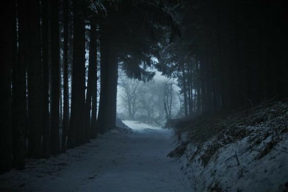 a snowy path winds its way through a dark and mysterious forest. the trees are tall and foreboding, their branches heavy with snow. the air is thick with fog, adding to the eerie atmosphere. the path is the only sign of life in this desolate landscape.