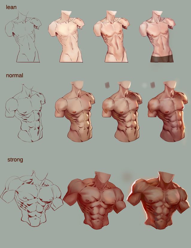 the image is a drawing tutorial showcasing different muscle definitions on a male torso. it presents three levels of muscle development: lean, normal, and strong, each illustrated in four steps, progressing from a line art sketch to a fully rendered and shaded depiction.