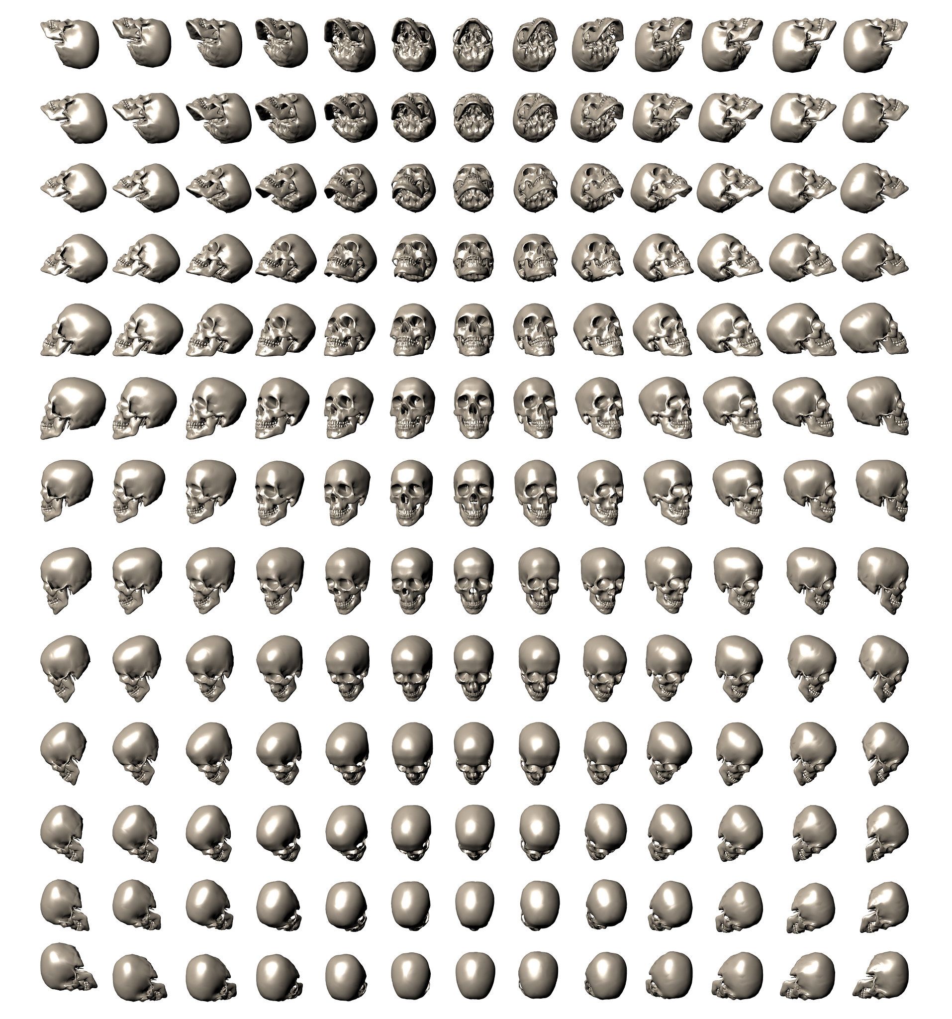 a 3d model render of a human skull, 100 in total, viewed from different angles, and arranged in a square grid. the skulls are all gray and the background is white. the image has a clinical and sterile feel.