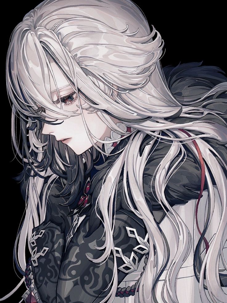 the image is a detailed digital painting or illustration of an animestyle female character. she has long, flowing white and grey hair, styled elegantly.  her attire is dark and ornate, with intricate designs suggesting a gothic or fantasy aesthetic. she's wearing a dark, patterned dress or jacket with silver accents and what appears to be a dark feather or fur trim. her expression is serious and somewhat melancholic as she looks down. the background is a plain black, drawing all attention to the character. the overall style is highly detailed and suggestive of a character from a visual novel or similar media.