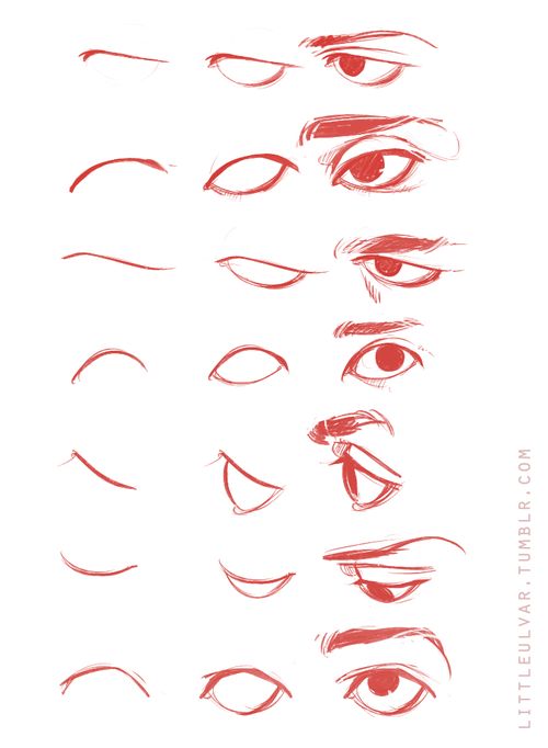 the image is a drawing tutorial showing various styles and expressions of eyes. it's organized in columns, with the left column showcasing simple eyebrow shapes, the middle column demonstrating basic eye shapes, and the right column combining these elements to create complete eyes with expressions.  the style leans towards anime/manga but also includes some more realistic elements.  the eyes depict a range of emotions and angles, providing a comprehensive reference for artists learning to draw eyes. the reddish color gives it a consistent and artistic tone.  a watermark in the corner credits "littleulvar.tumblr.com" as the source.