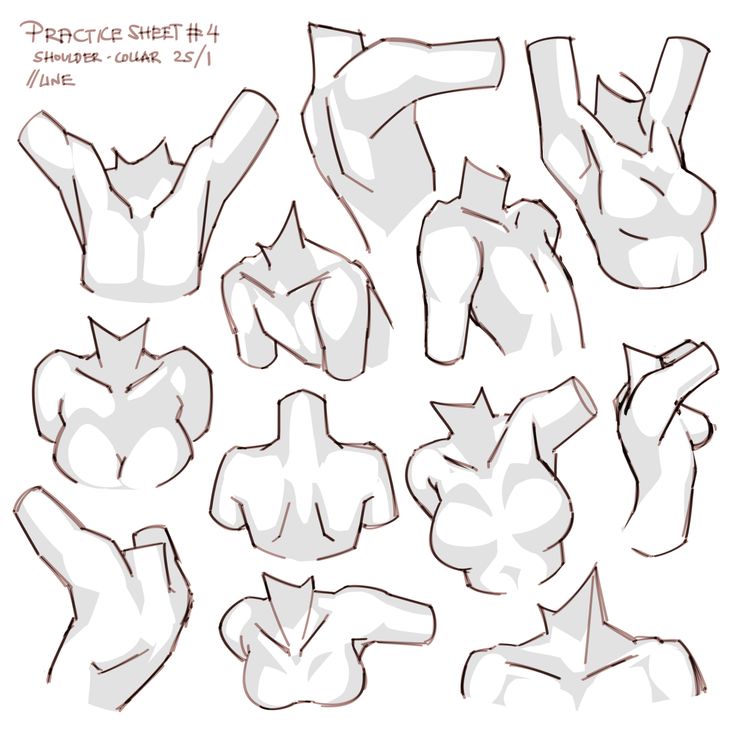 this image is a practice sheet for drawing the shoulder and collarbone area of a female figure. the sheet contains 13 different poses and angles for the shoulder and collarbone, all drawn in a simple lineart style. this is a useful reference for artists who are studying anatomy or trying to improve their figure drawing skills.