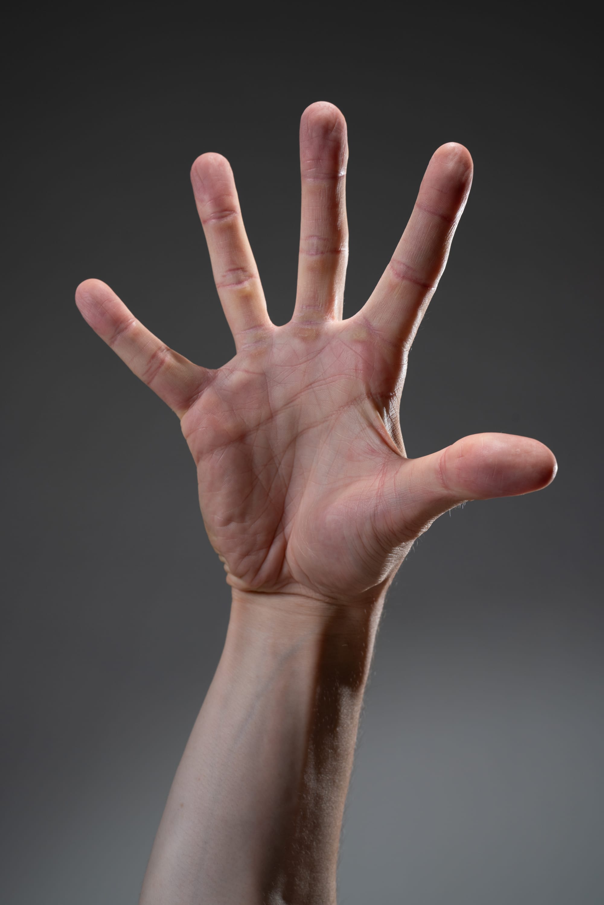 a closeup image of a person's open hand with five fingers extended. the hand is in focus, while the background is blurred, indicating studio lighting. the lighting emphasizes the texture and details of the hand, such as wrinkles and lines on the palm. the overall palette is muted and consists of earthy tones, ranging from light browns to darker grays.