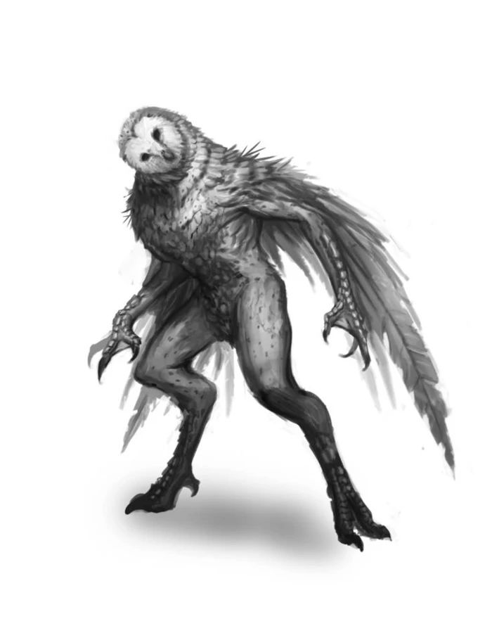 an illustration of an anthropomorphic creature that is a hybrid of an owl and a humanoid figure. it has the head of a barn owl, feathery wings, and a humanoid body with birdlike talons. the image is grayscale and appears to be a fantasy monster or creature.