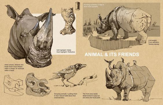 this is an educational illustration featuring rhinoceroses and a crow. the main focus is on animal anatomy and sketching techniques, using a rhinoceros as an example. it shows different perspectives and details of the animal's body, highlighting areas like the head, horns, and skin texture. the illustration emphasizes observation, breaking down complex forms into simpler shapes, and understanding light and shadow. it also touches on the importance of line weight, form definition, and texture density in creating a realistic sketch.
