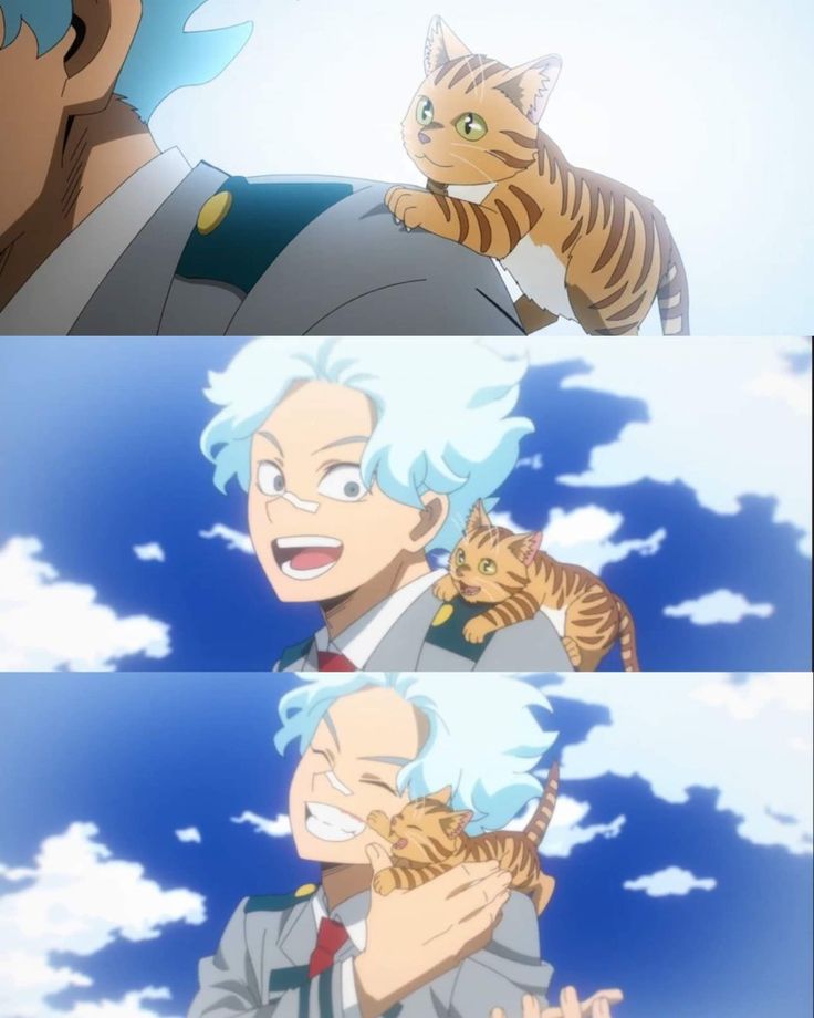 the image shows an anime boy with blue hair, wearing a hero costume, smiling happily. he is holding a small cat in his arms. the boy is standing in front of a bright blue sky with white clouds.  the boy is smiling with a happy expression. the cat is also looking happy.