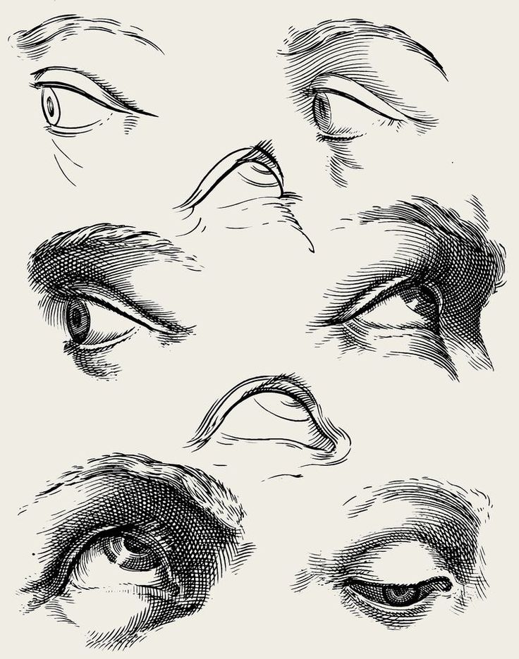 the image is a detailed collection of black and white line drawings focusing on the human eye. multiple examples of eyes with varying expressions and positions are shown, highlighting the anatomical features and nuances of the eye region.  the style is reminiscent of vintage anatomical illustrations or artistic studies, with meticulous attention to line weight and shading to create depth and texture. the drawings vary in terms of the angle of the gaze, creating a diverse representation of the eye's capabilities.