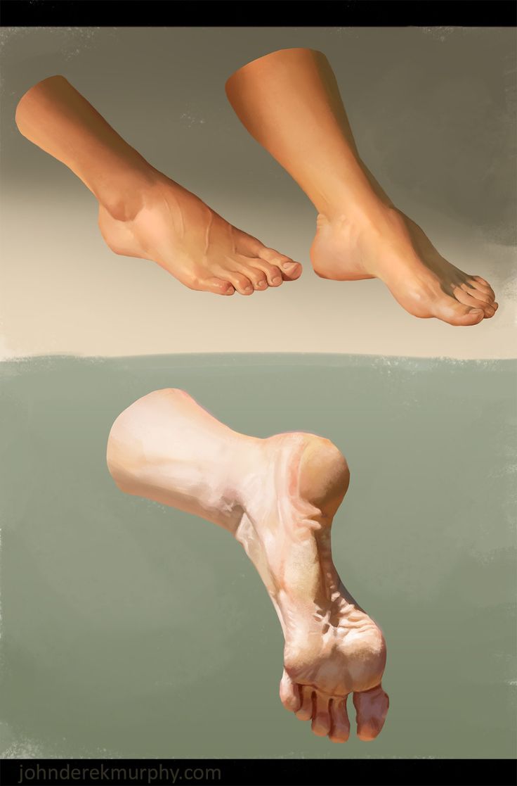 a close up digital painting of a human foot with various perspectives. the image showcases the detailed anatomy of a human foot. the feet are painted in a realistic style and highlight the skin, tendons, muscles, and bones of the foot.